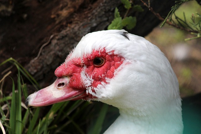 收穫的這場 收穫的這場