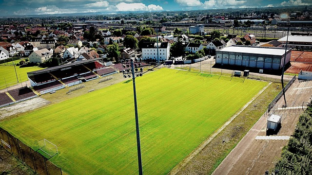 梅里达首球 梅里达首球