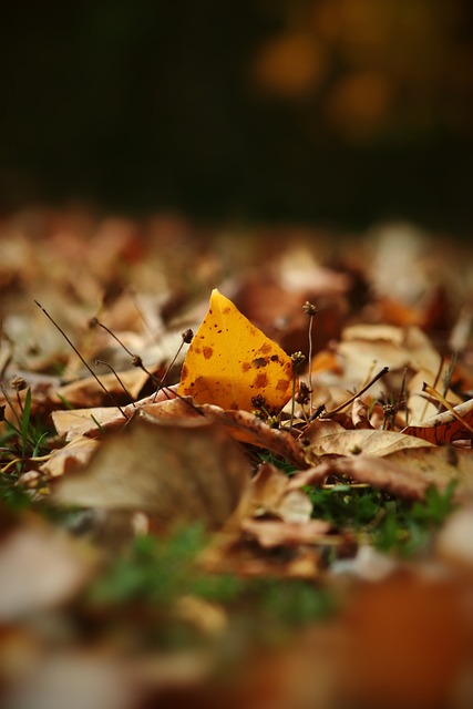 肌肉拉傷 肌肉拉傷