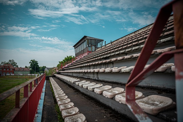 敌依旧虎视 敌依旧虎视