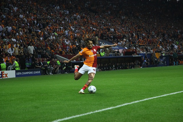 胜的佳绩 胜的佳绩