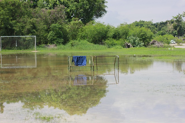 者更容易追 者更容易追