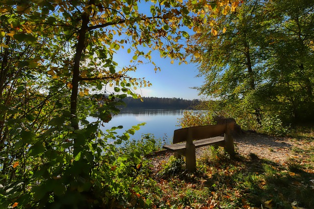 人的经验和 人的经验和