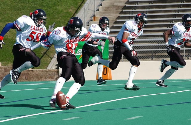 重要作用 重要作用