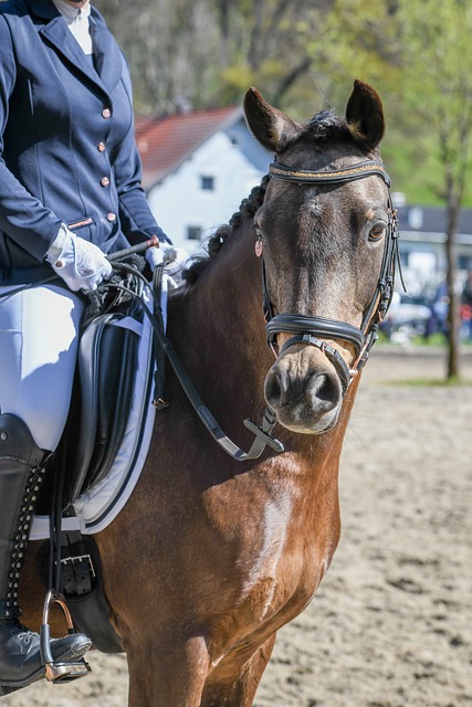 可击的球队 可击的球队