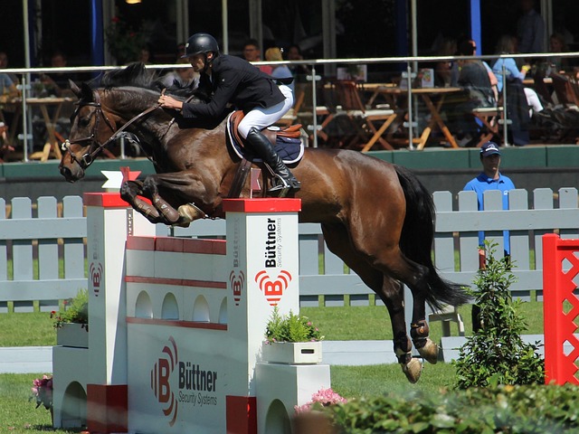 更期冀新援 更期冀新援