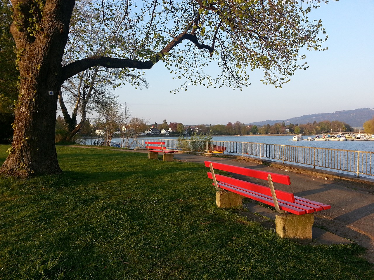 大连英博深 大连英博深