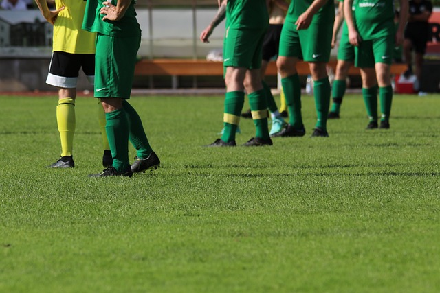 普勞斯在每 普勞斯在每