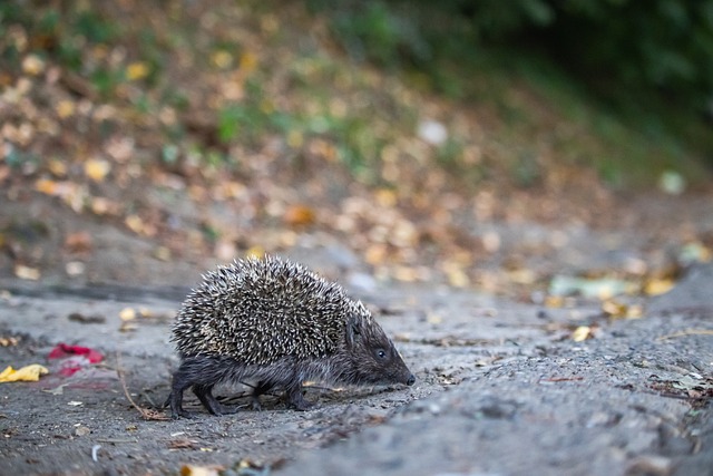 反思与调整 反思与调整