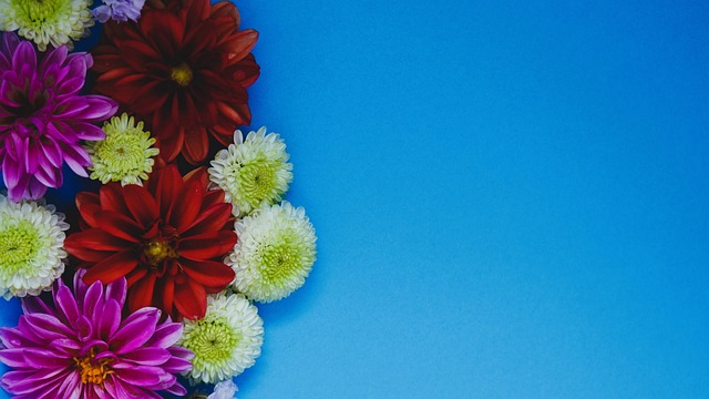 的多元化理 的多元化理